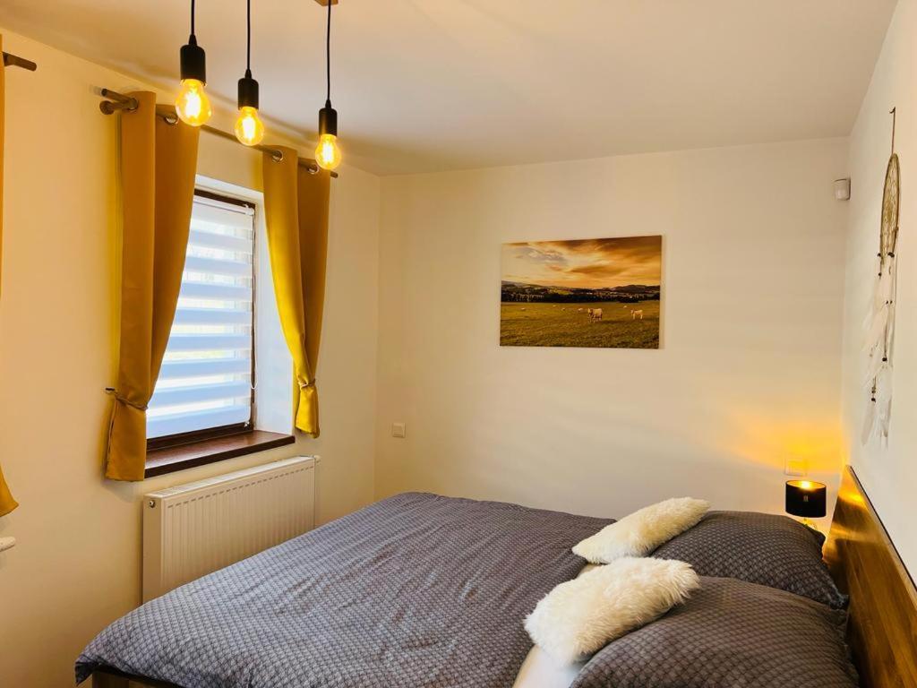 Apartmán U Sedmikrásky Vaclavov u Bruntalu Kültér fotó